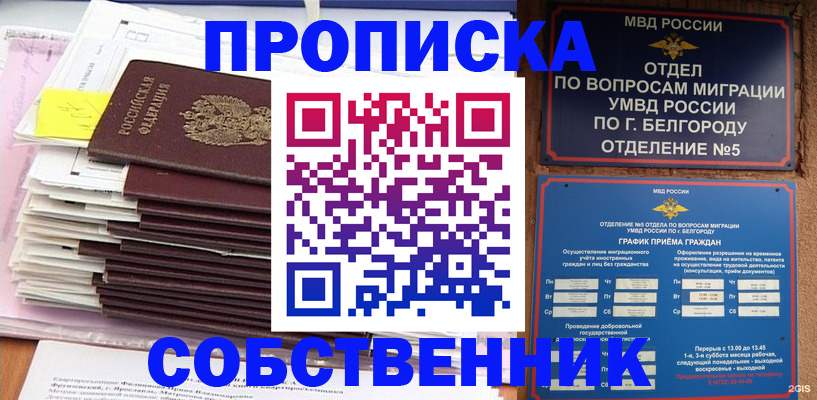 прописка законно в Алейске